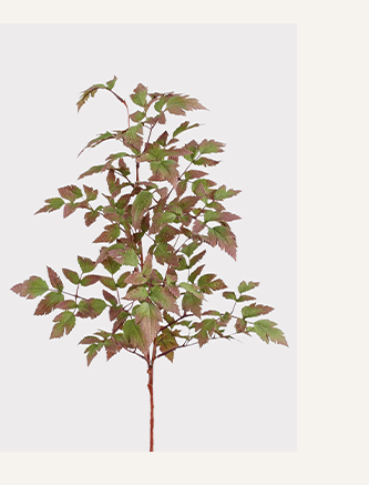 Purple and Green Fake Cimicifuga Leaf Branch - 30
