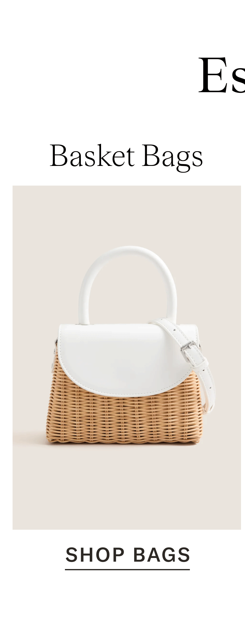 Basket Bags