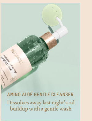 Amino Aloe Gentle Cleanser