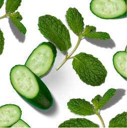 Cucumber and Mint