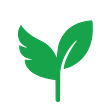 SeedAngels