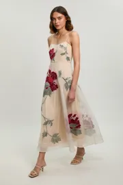 Floral Embroidered Organza Bandeau Dress