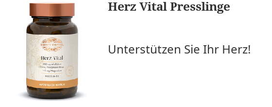 Unsere Vorschläge für Sie
