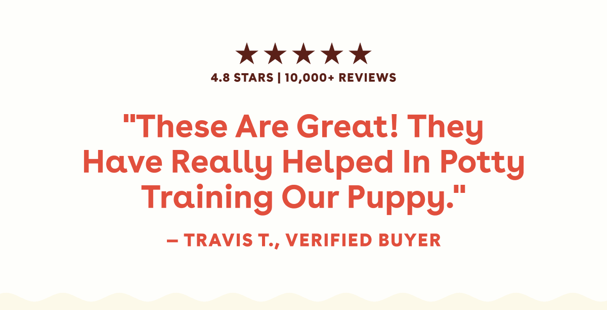 Read our reviews 