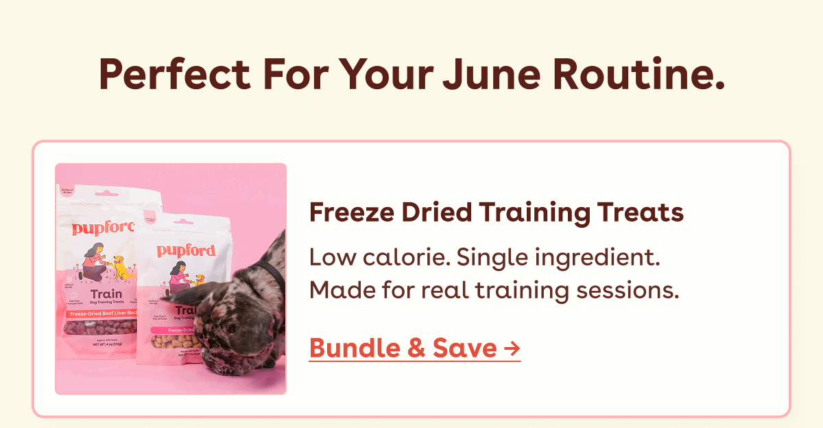 Freeze dried training treats