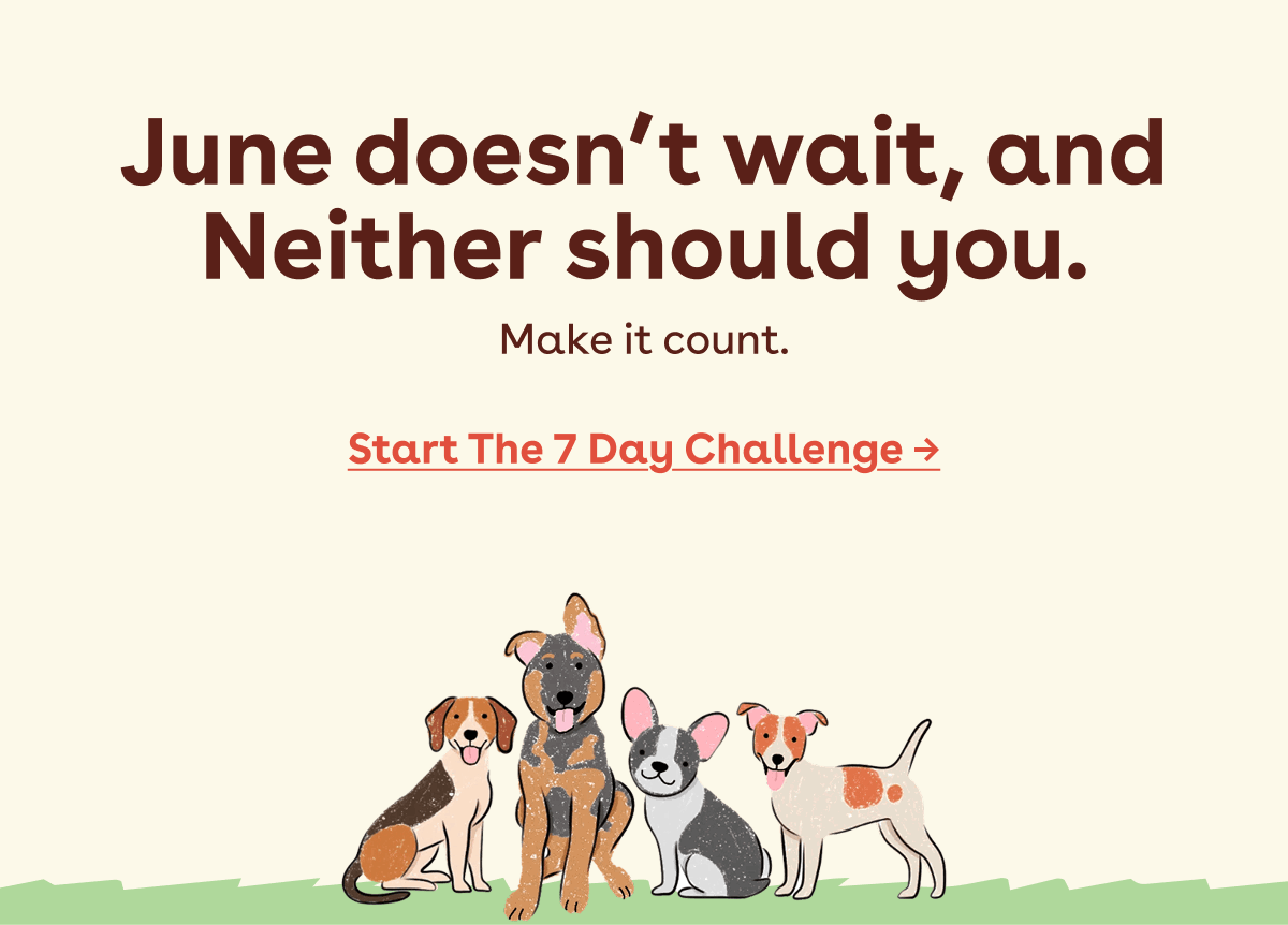 Start the 7 day challenge 