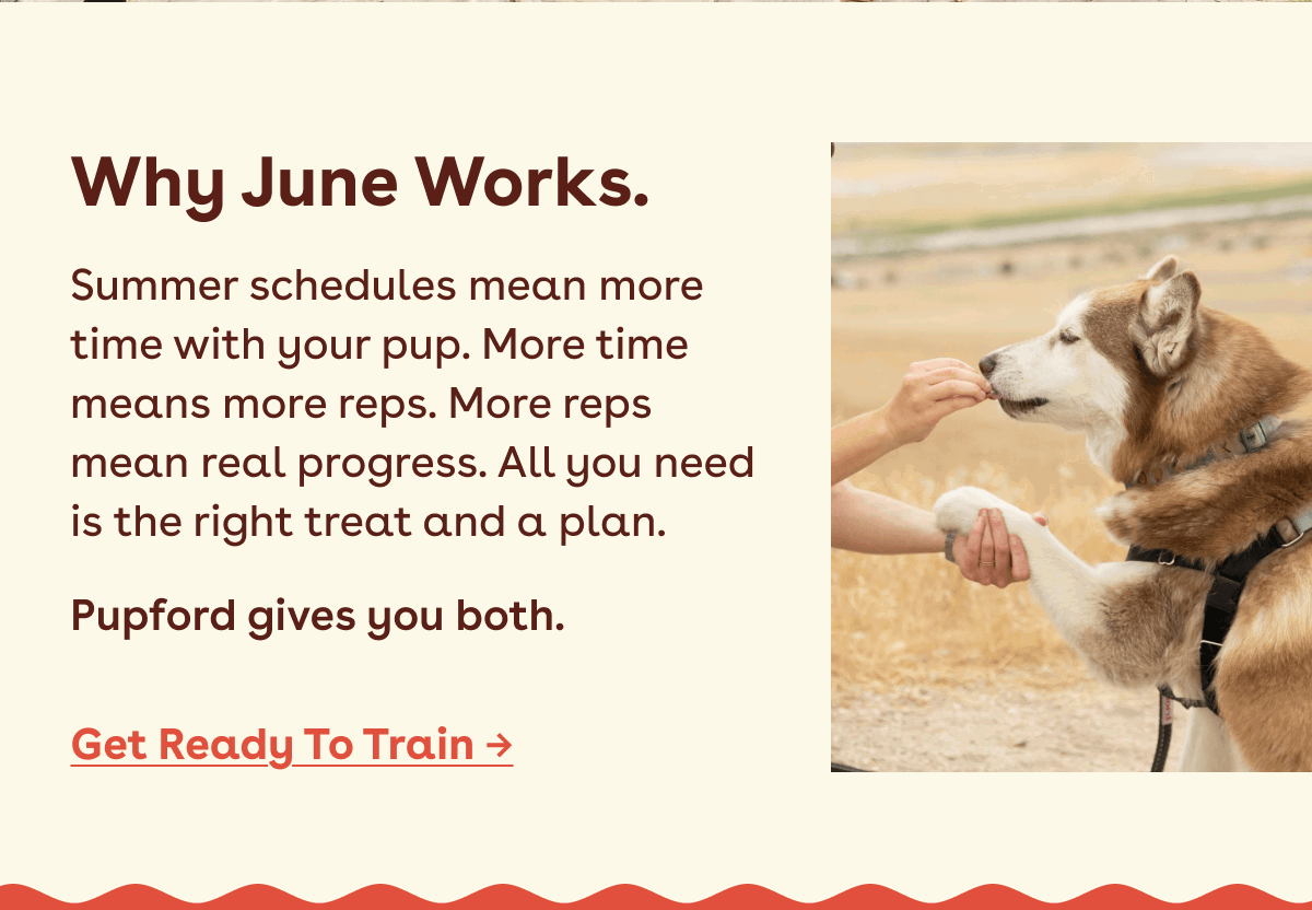 Get ready to train 