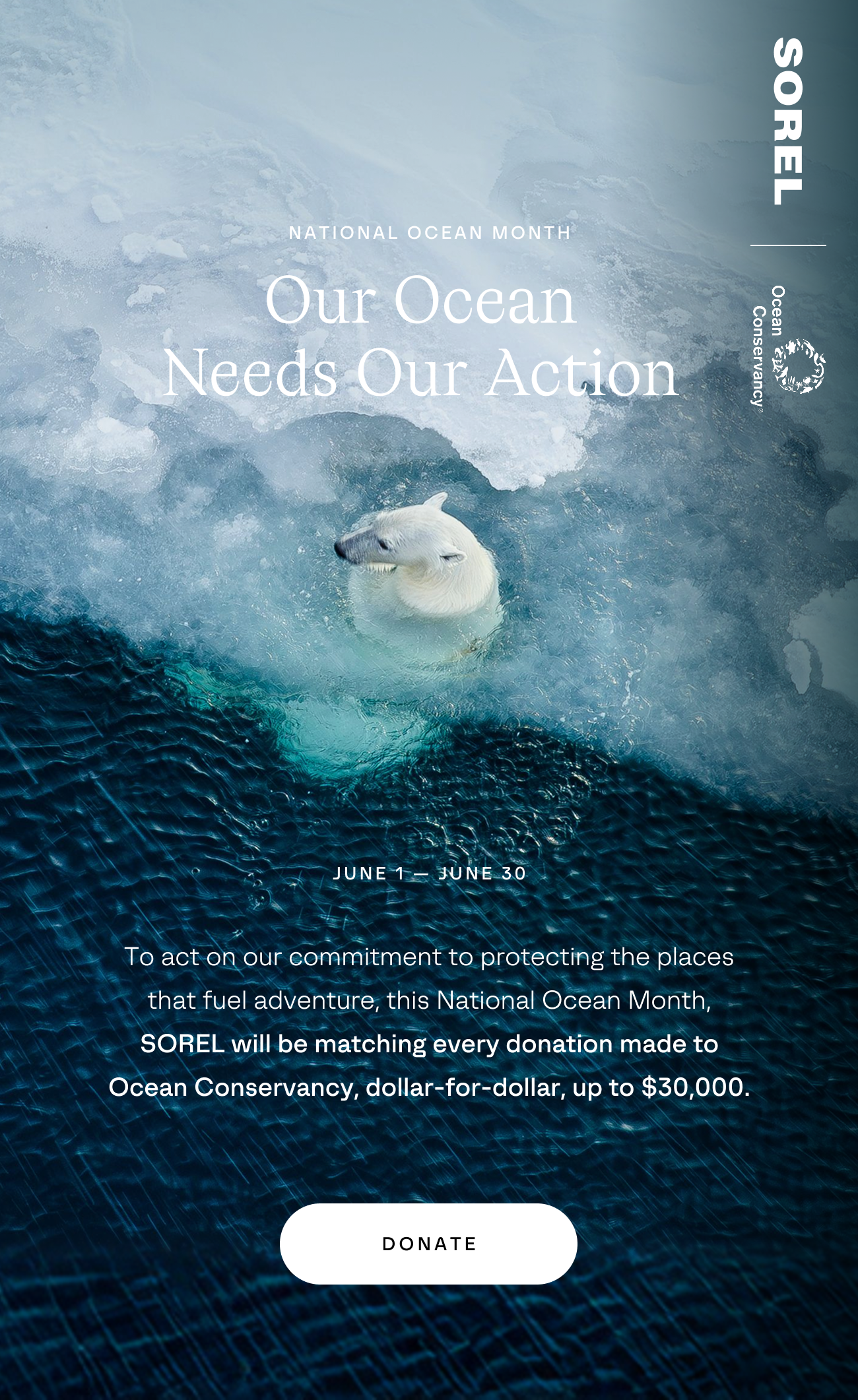 ocean conservancy support by donating 