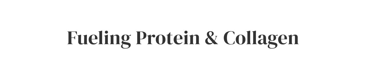 Fueling Protein + Collagen