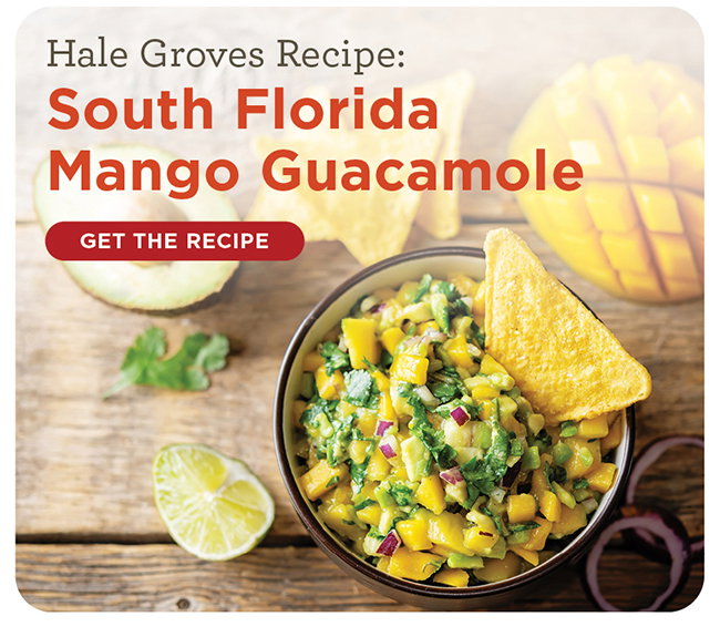 Hale Groves Recipe: South Florida Mango Guacamole