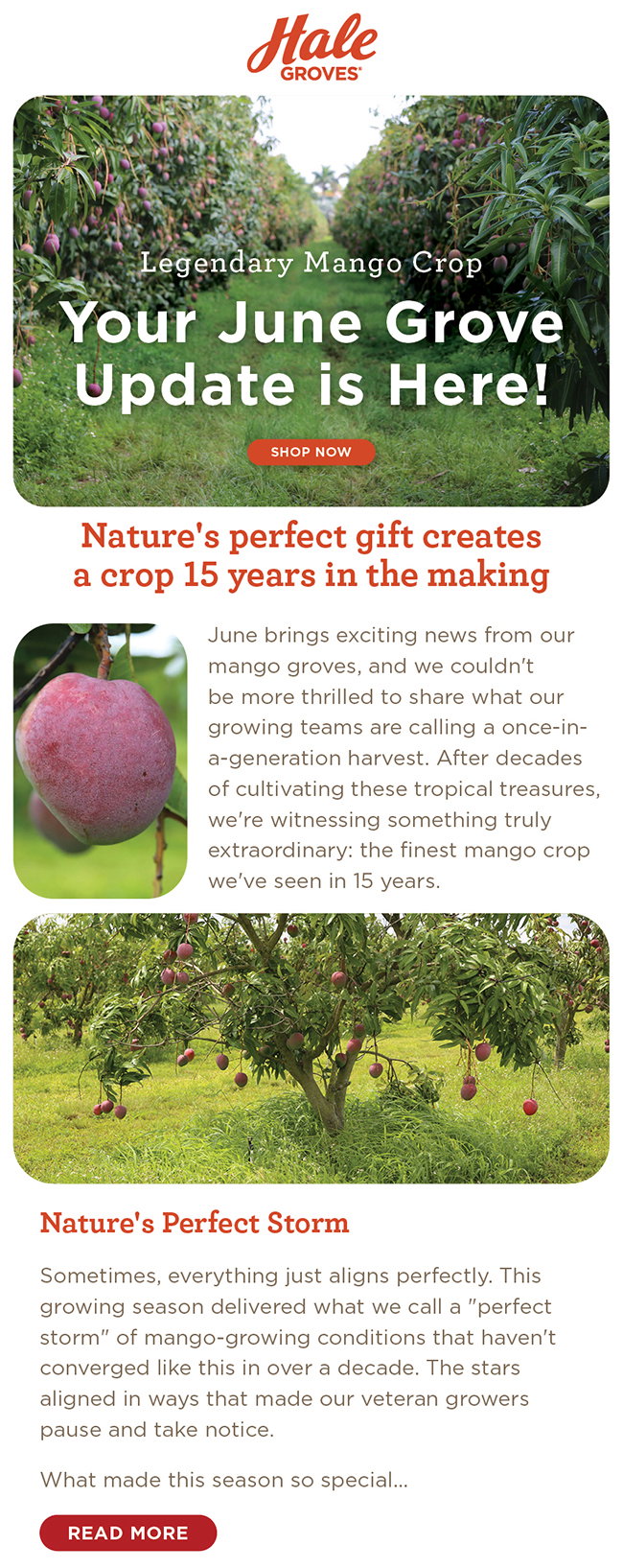 June Grove Update