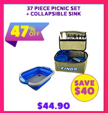 37 Piece Picnic Set + Collapsible Sink