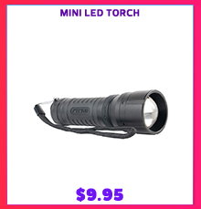 Mini LED Torch
