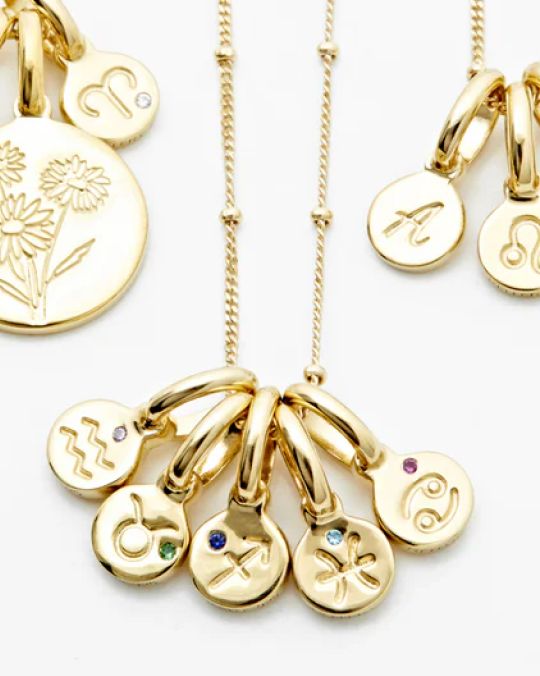 Zodiac Charms