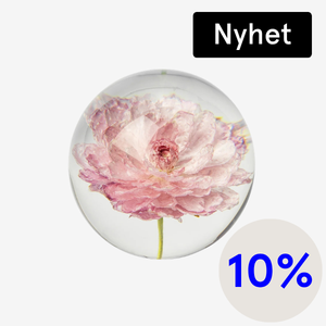 pappersvikt