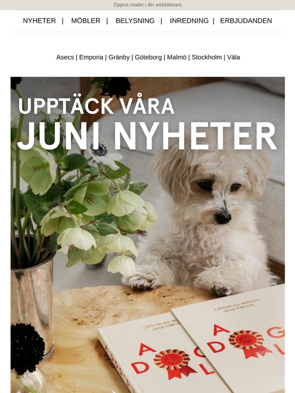 Juni nyheter 🌼