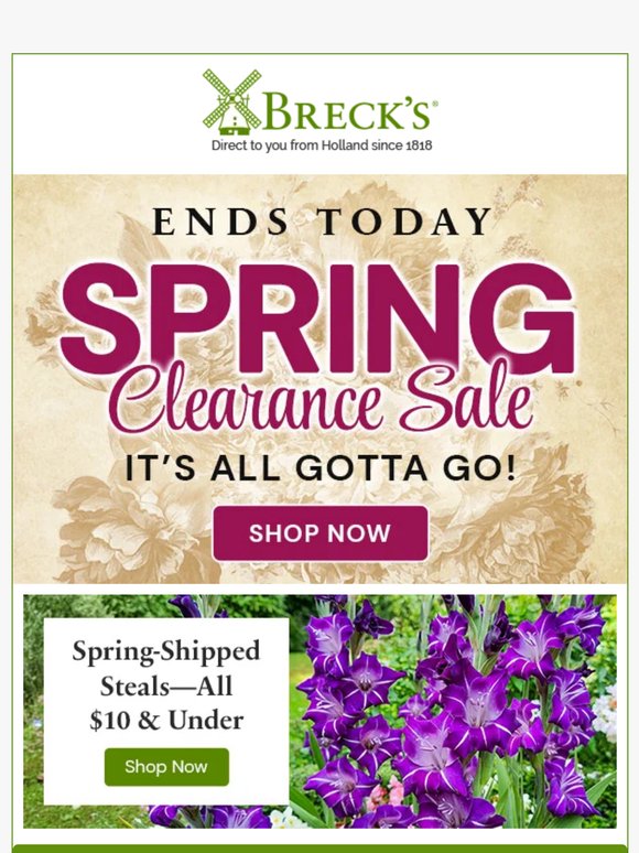 Spring Plant Sale Ends Today 😲