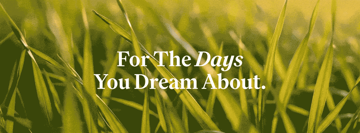 For The Days You Dream Abou