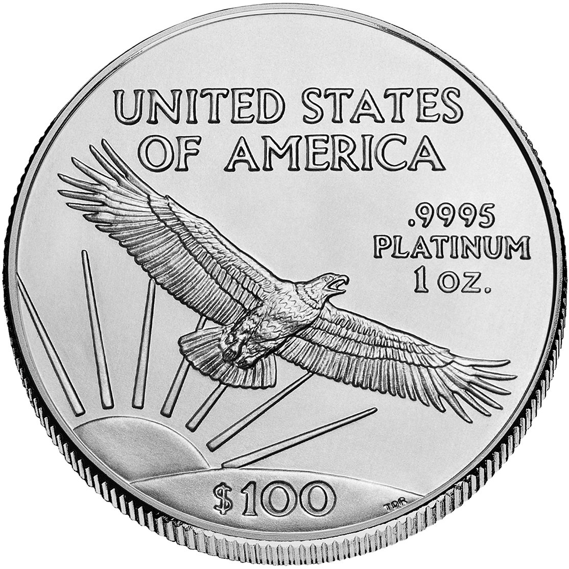 Image of 1 oz Platinum American Eagle - Random Year
