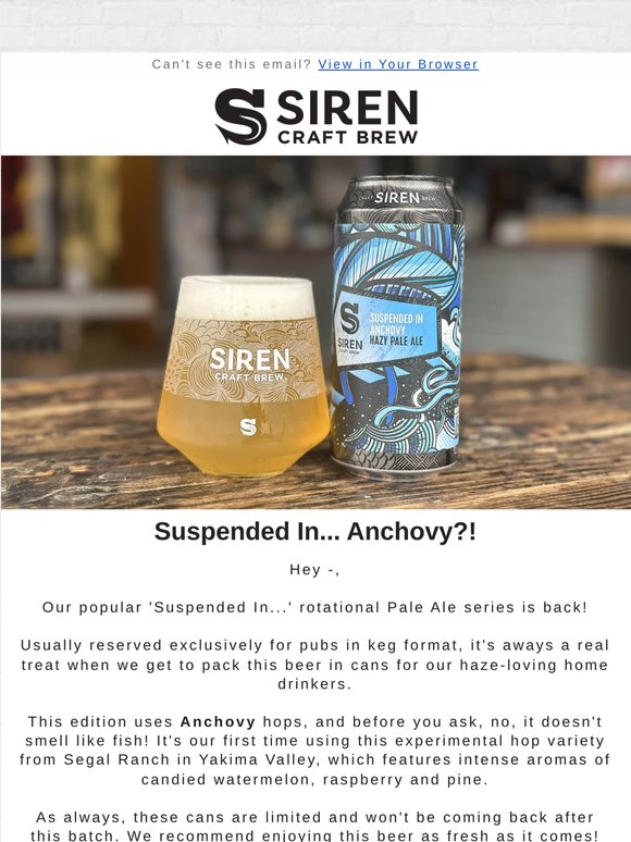 NEW Suspended In... Anchovy cans available 🍺