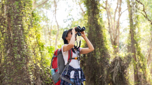 A young woman with a backpack looks into a pair of binoculars. She is standing in a sunny wooded area.