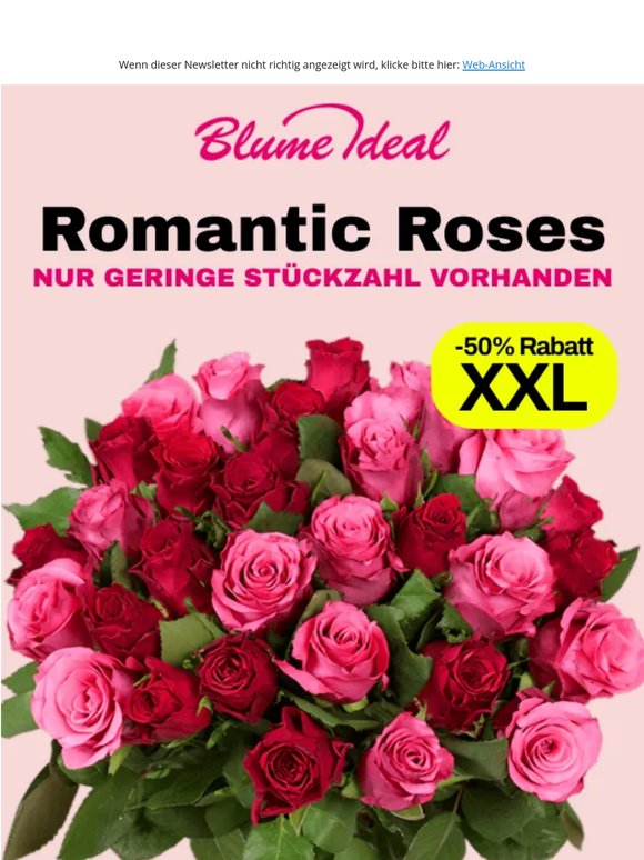 -50% 🌹XXL Rosenpaket