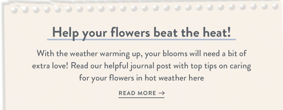 Keep Your Blooms Happy in the Heat