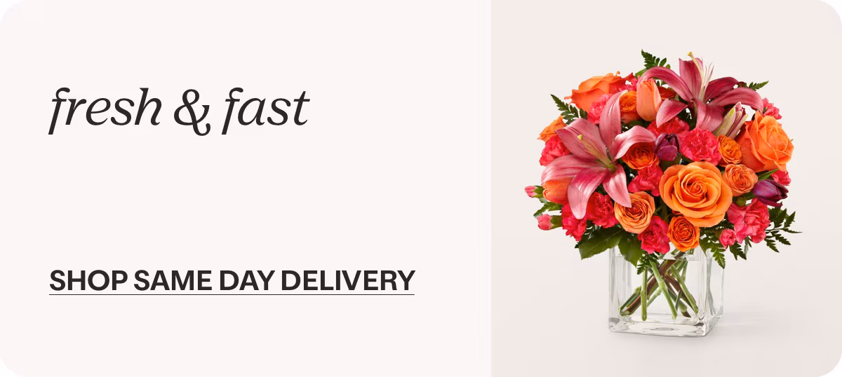 fresh & fast - SHOP SAME DAY DELIVERY »