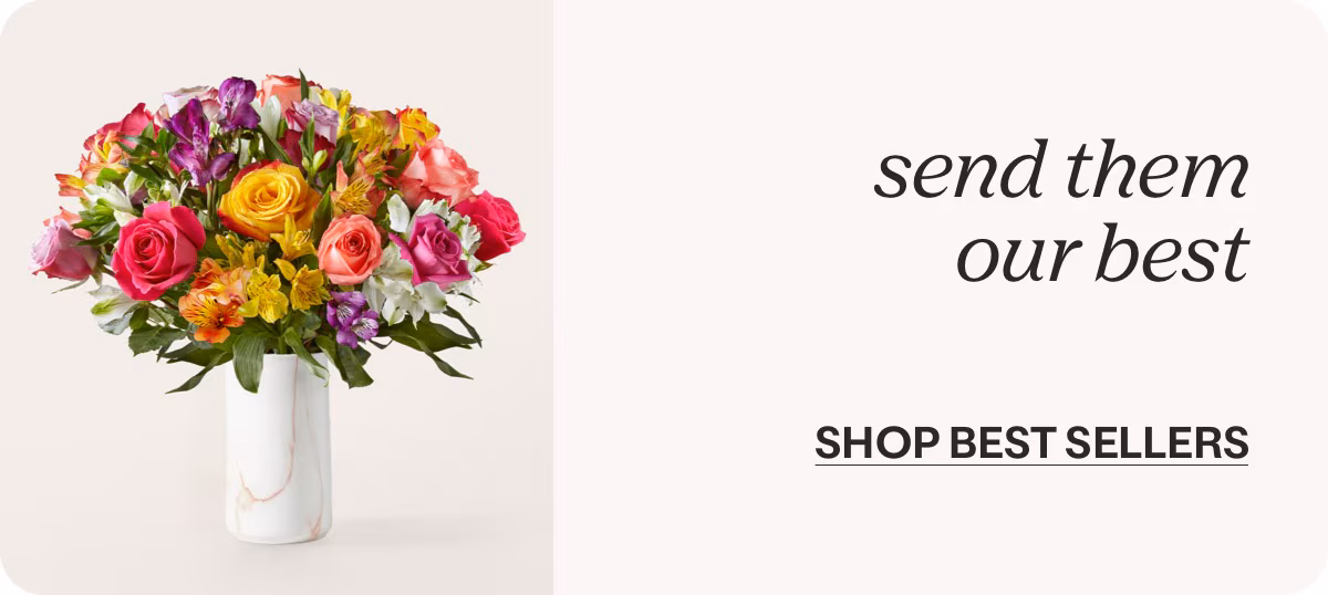 send them our best - SHOP BEST SELLERS »