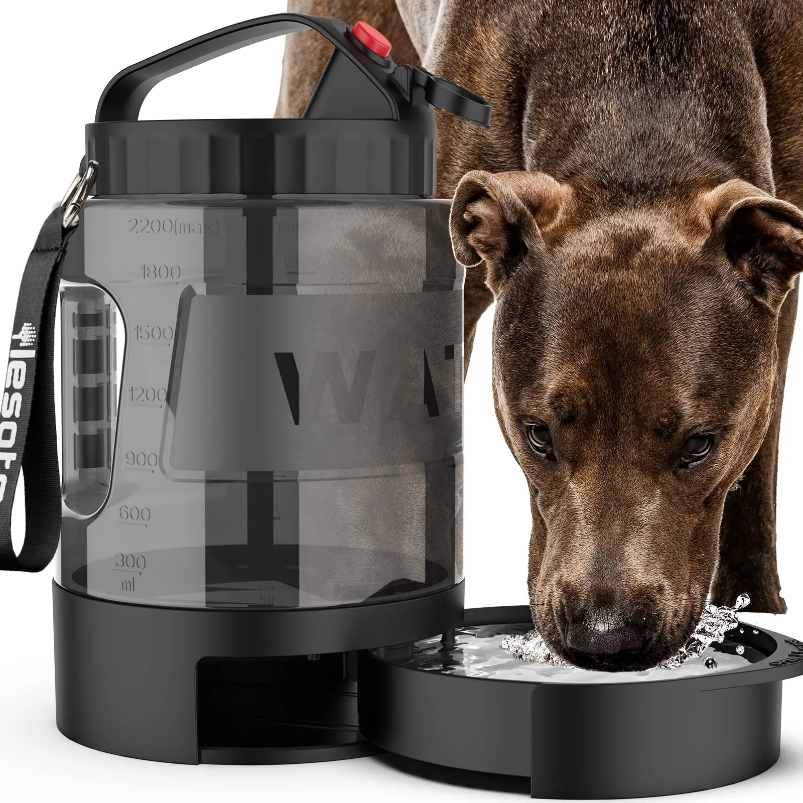 Dog Water Bottle