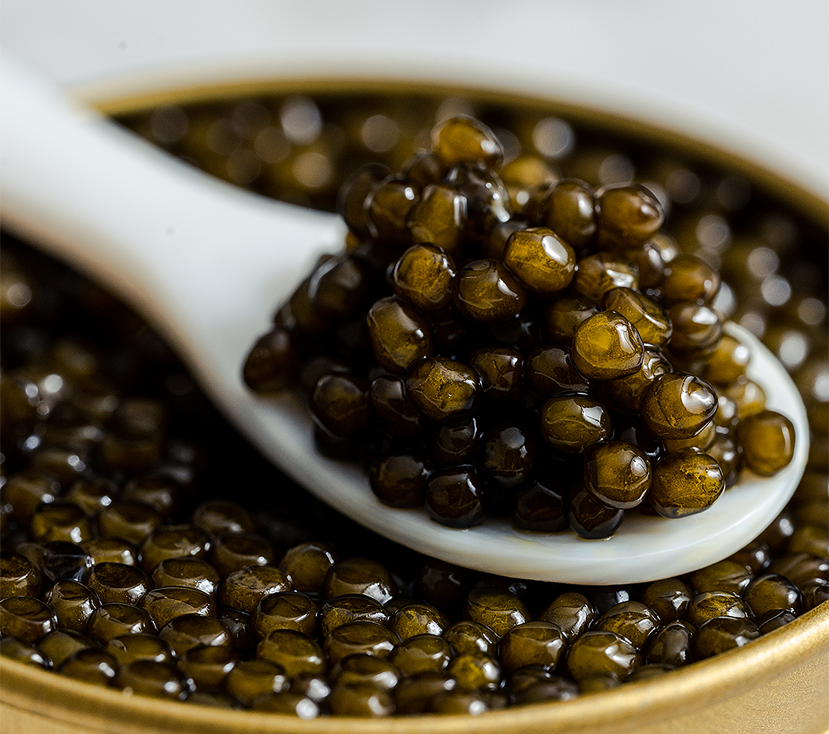 Imperia Caviar