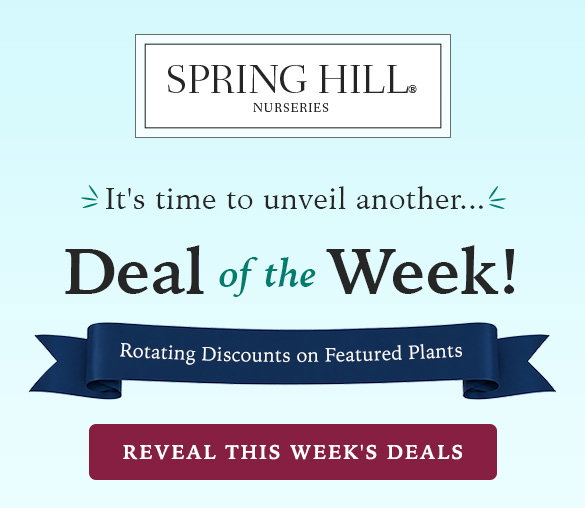 End of Season Sale | Save up to 50%