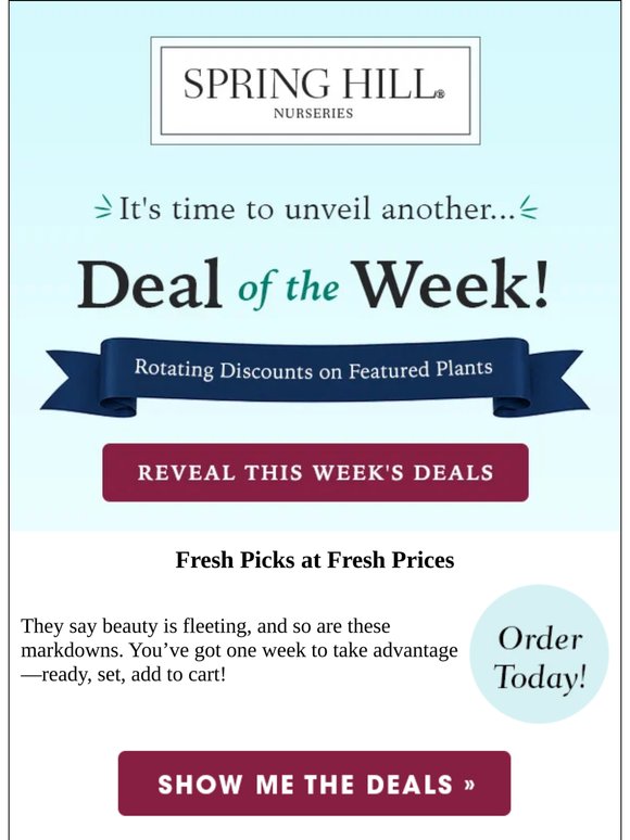 New Week = New Deals!