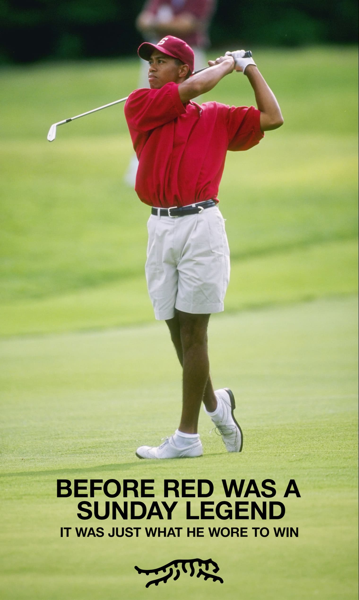 Tiger NCAA Title Hero