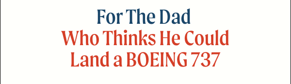 For The Dad Who Thinks He Could Land a BOEING 737