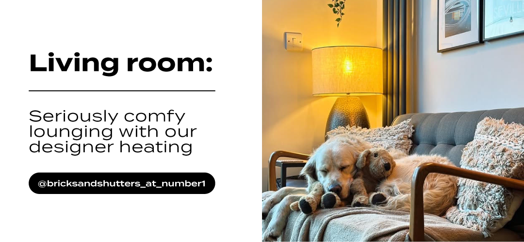 Dog on the sofa with a grey vertical radiator in the background and lamp