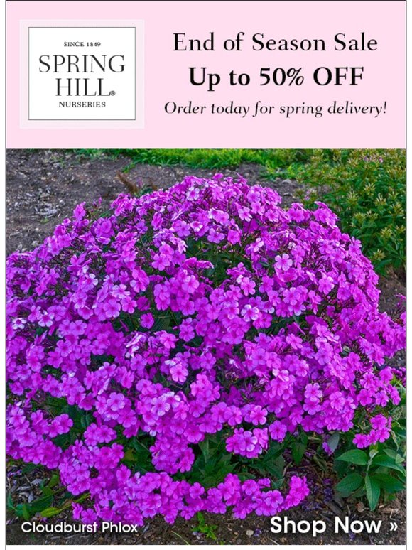 LAST DAY to Order for Spring Delivery!
