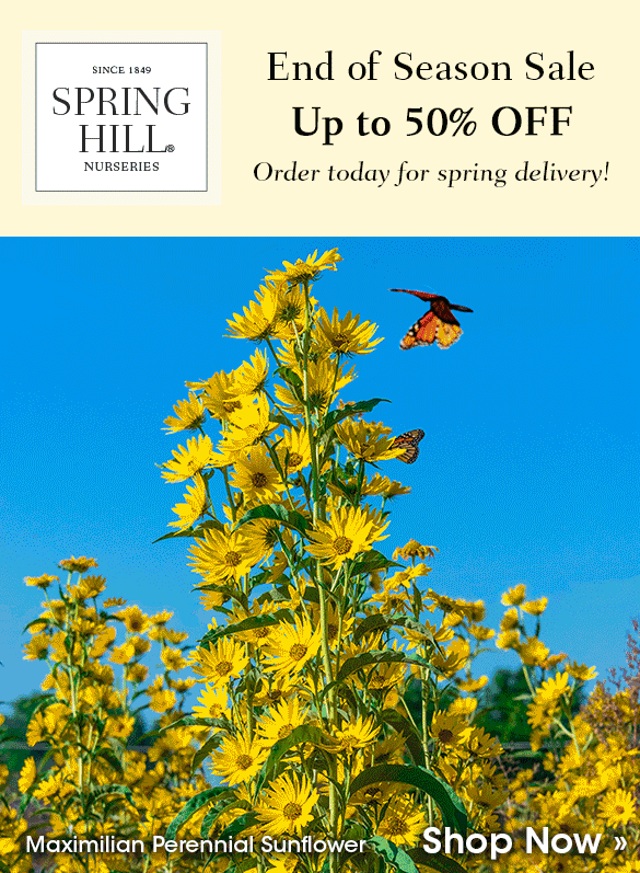 End of Season Sale | Save up to 50%