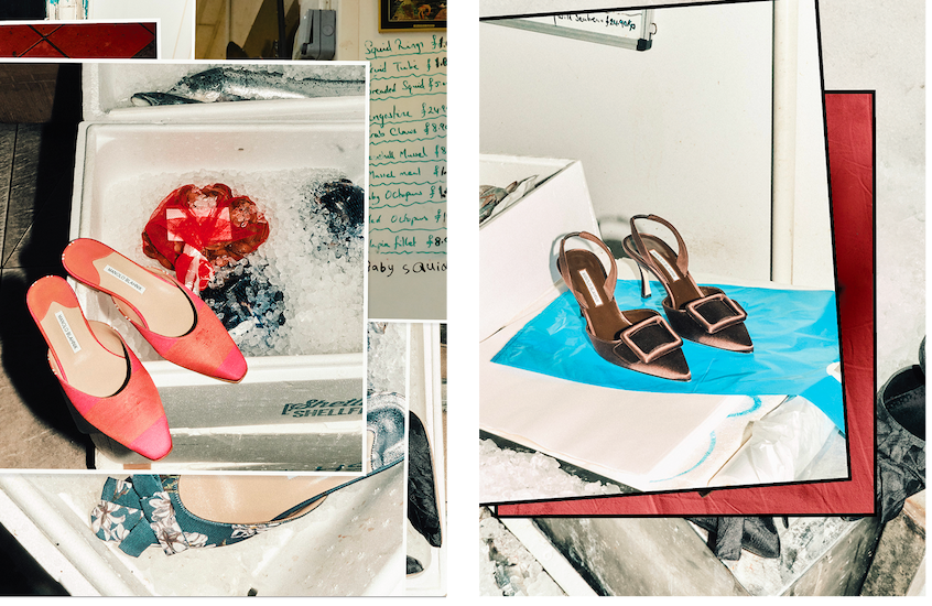 Manolo x Emilia Wickstead