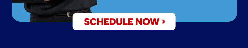 Schedule now >
