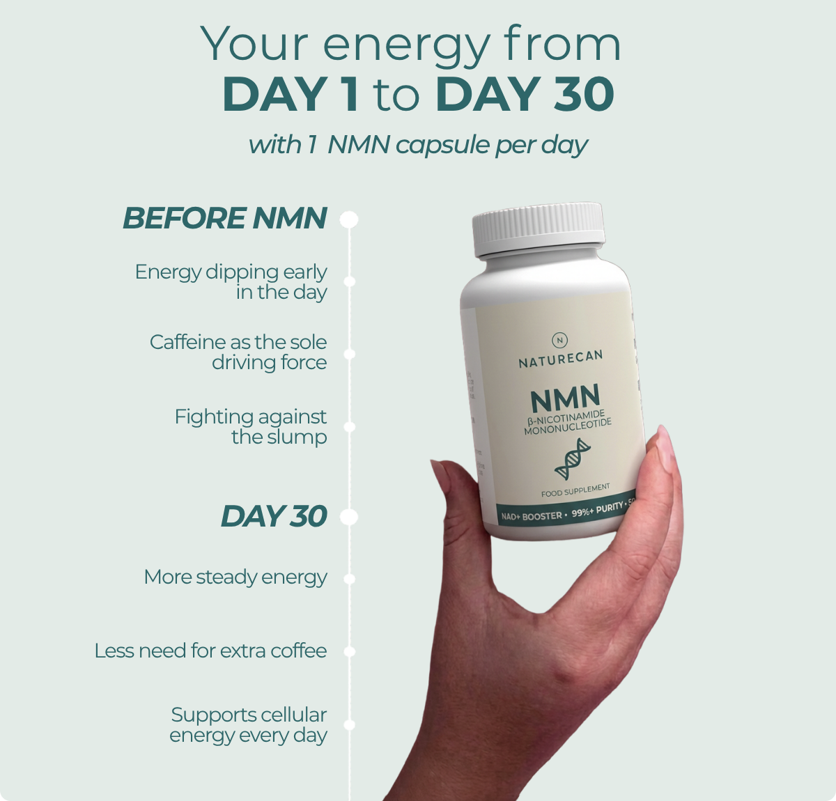 Before NMN: Energy dips during the day. Day 30 with NMN: more steady energy, less need for extra coffee