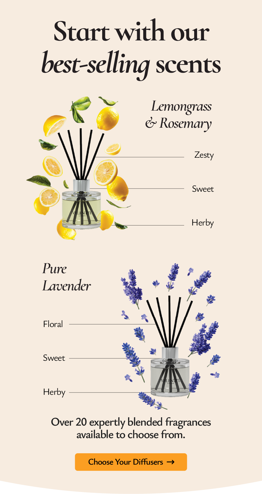 Start with our best-selling scents and build your perfect bundle.