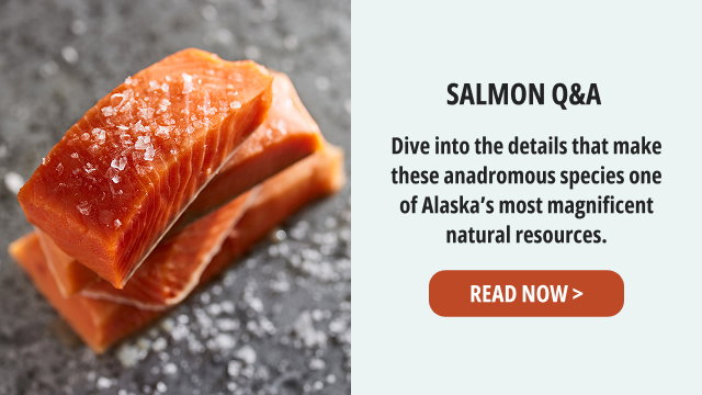 Salmon Q&A - Dive into the details that make these anadromous species one of Alaska's most magnificent natural resources. READ NOW >