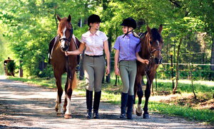 Enjoy Indoor Horseback Riding Lessons for 2 or 4 Enjoy Indoor Horseback Riding Lessons for 2 or 4