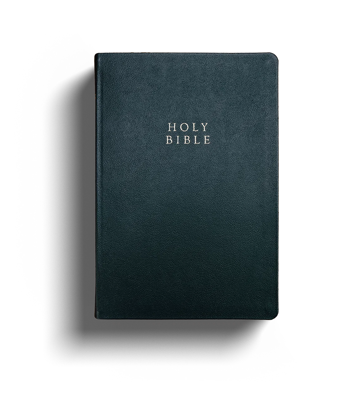 Image of The Reformation Heritage KJV Study Bible (Black Calfskin Leather)