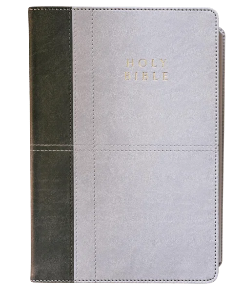 Image of Reformation Heritage KJV Study Bible (Two-Tone Gray)