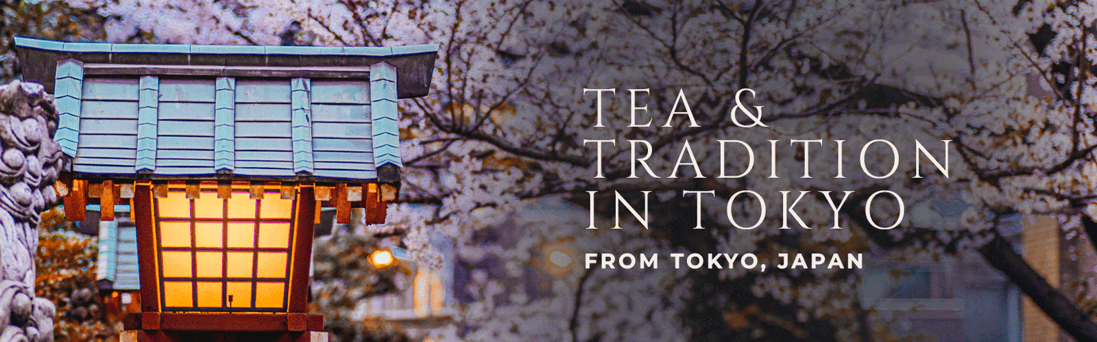 Tea and Tradition in Tokyo