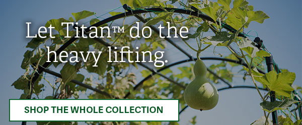 Let Titan do the heavy lifting - Shop the Whole Collection