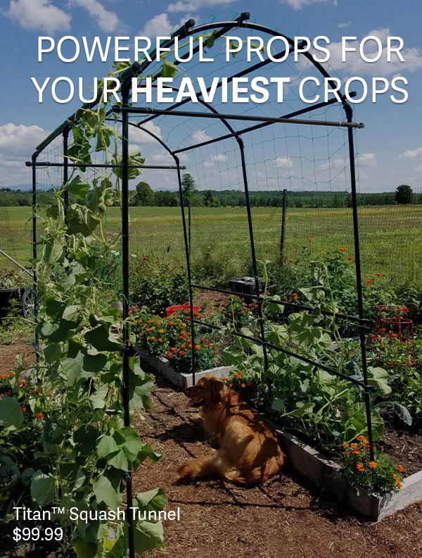 Powerful props for your heaviest crops - Titan Squash Tunnel $99.99