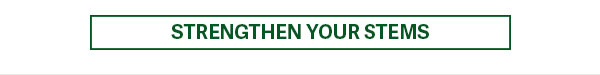 Strengthen Your Stems